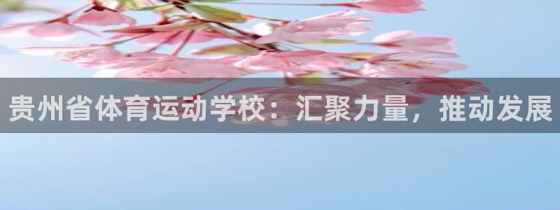 bbin视讯游戏官网