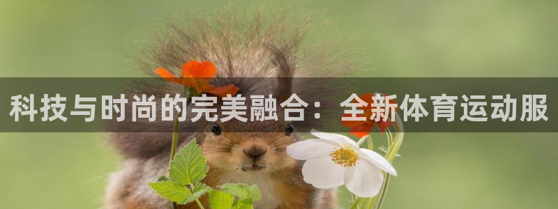 bbin视讯游戏平台：科技与时尚的完美融合：全新体育运动服