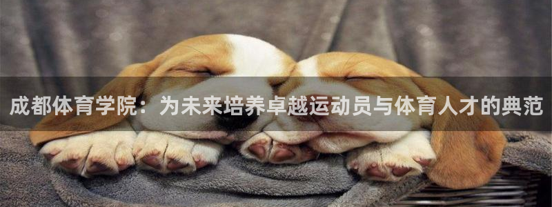 bbin视讯游戏官网：成都体育学院：为未来培养卓越运动员与体育人才的典范