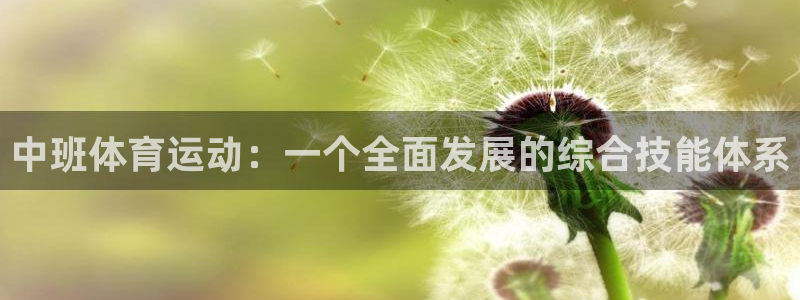 bbin视讯游戏平台：中班体育运动：一个全面发展的综合技能体系