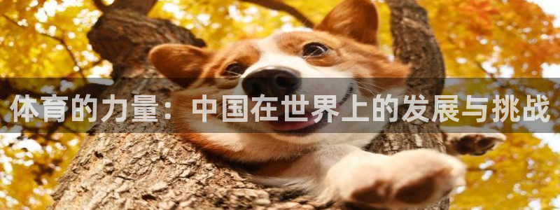 bbin视讯下：体育的力量：中国在世界上的发展与挑战