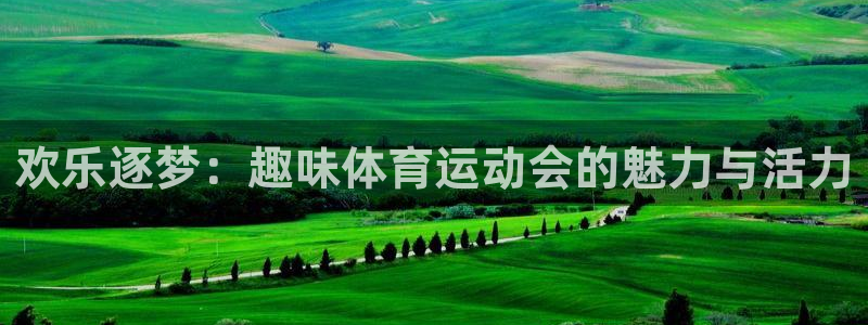 bbin视讯游戏官网：欢乐逐梦：趣味体育运动会的魅力与活力