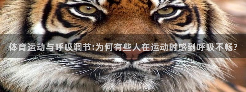 bbin视讯