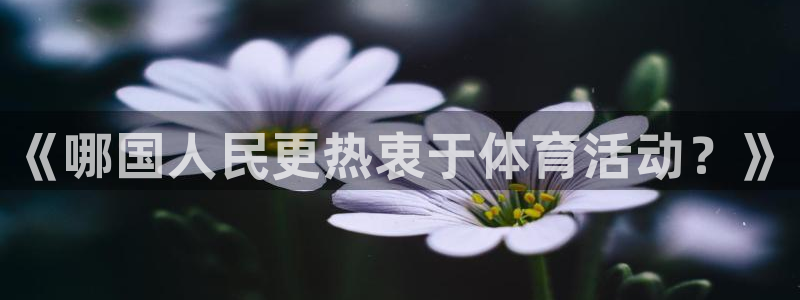 bbin视讯：《哪国人民更热衷于体育活动？》